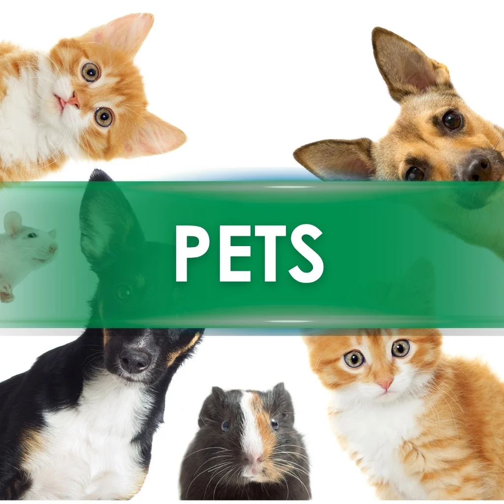 pets